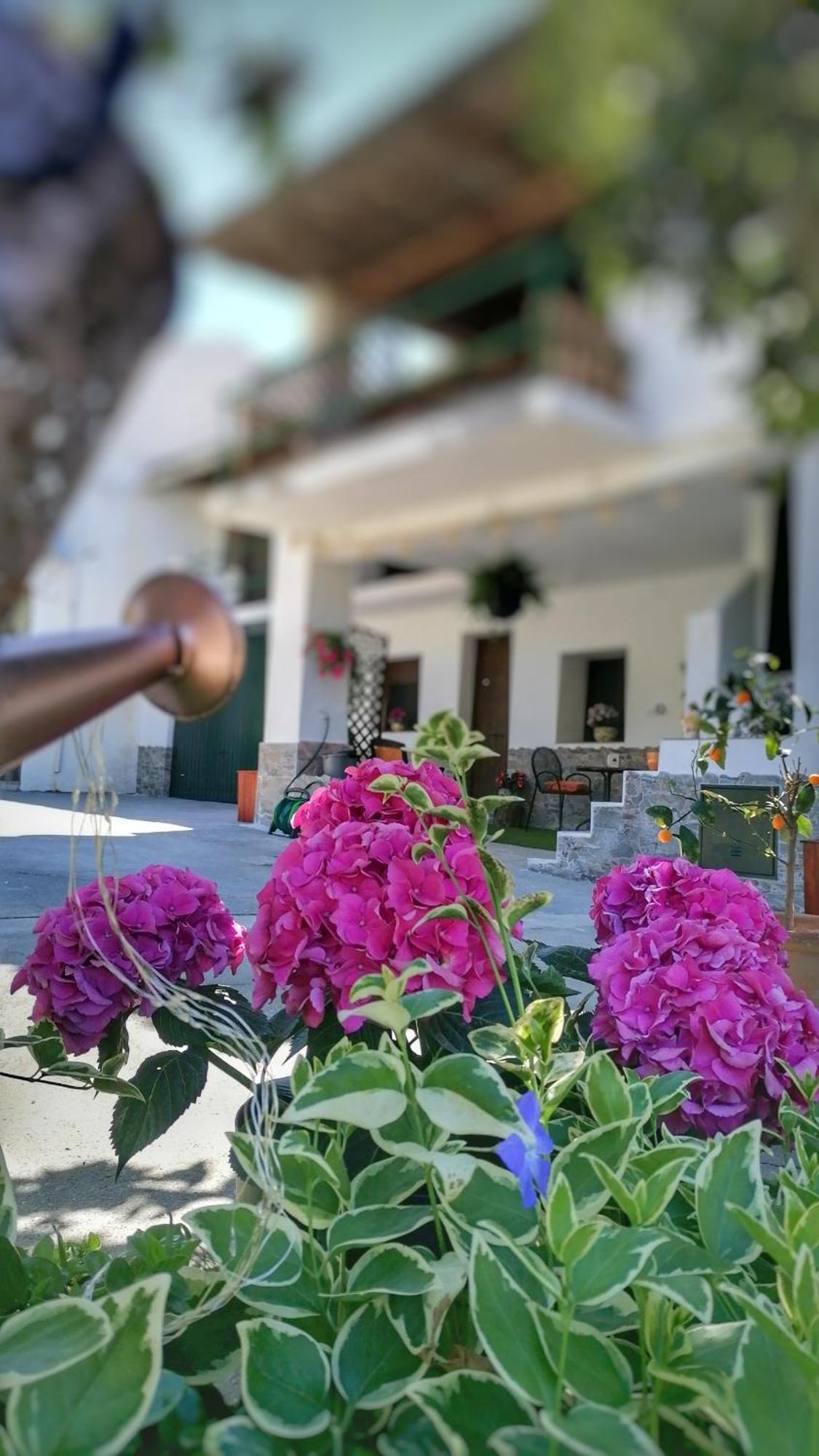 Apartament La Casa De La Abuela Pinos Genil Zewnętrze zdjęcie