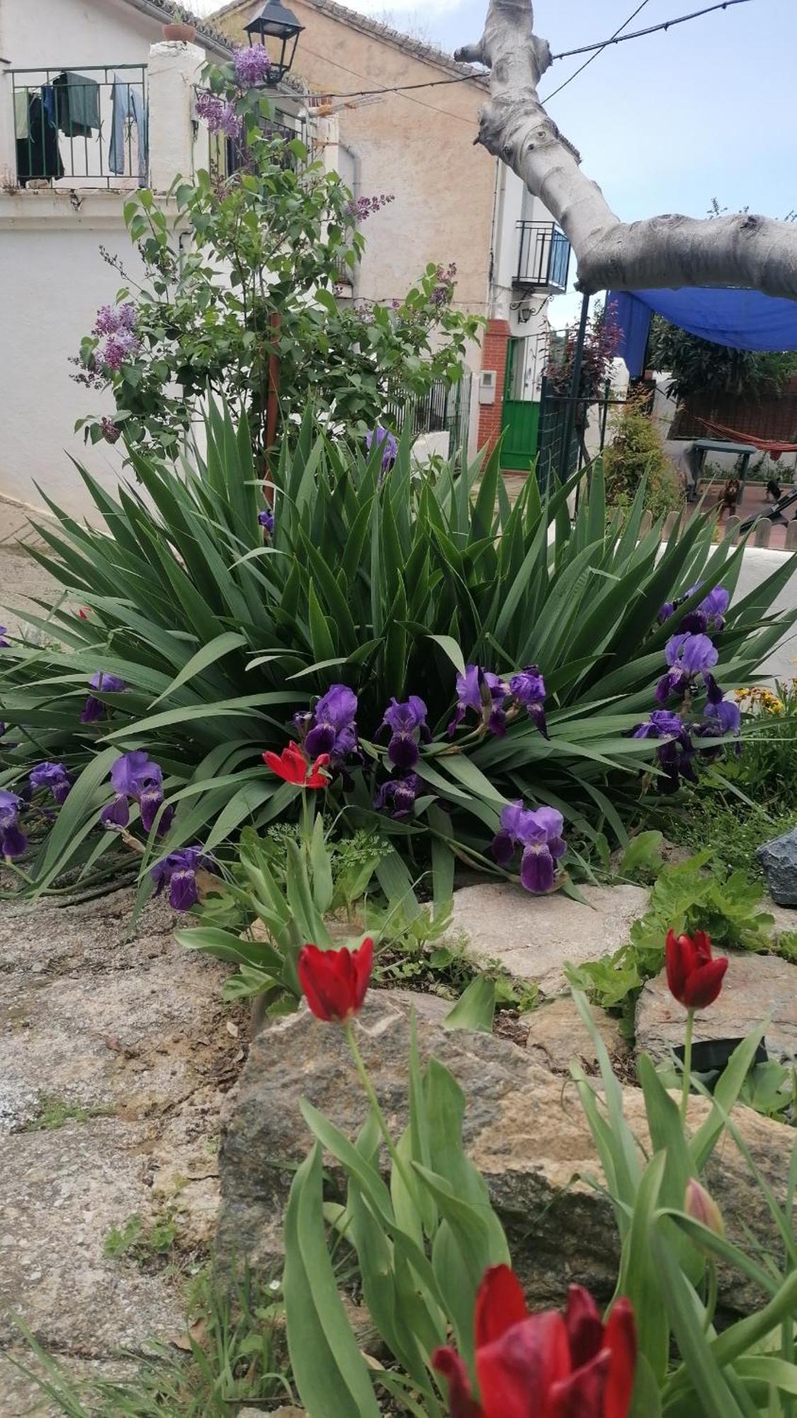 Apartament La Casa De La Abuela Pinos Genil Zewnętrze zdjęcie