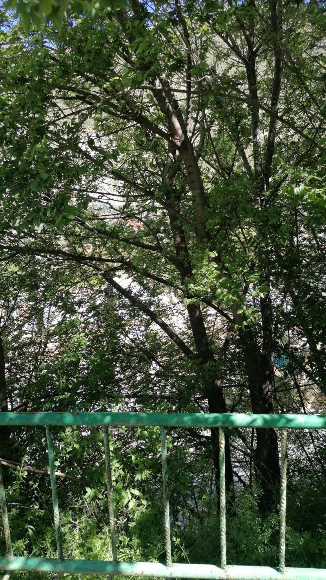 Apartament La Casa De La Abuela Pinos Genil Zewnętrze zdjęcie